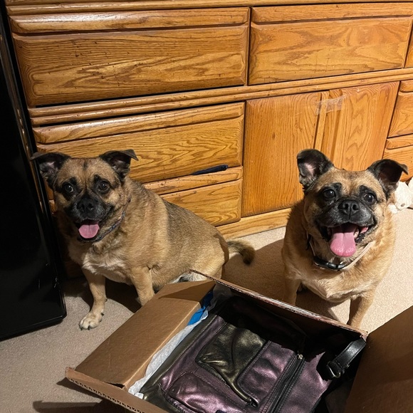 Meet your Posher, Sharon - Picture 6 of 9